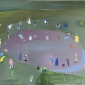 olej 100x80 2019